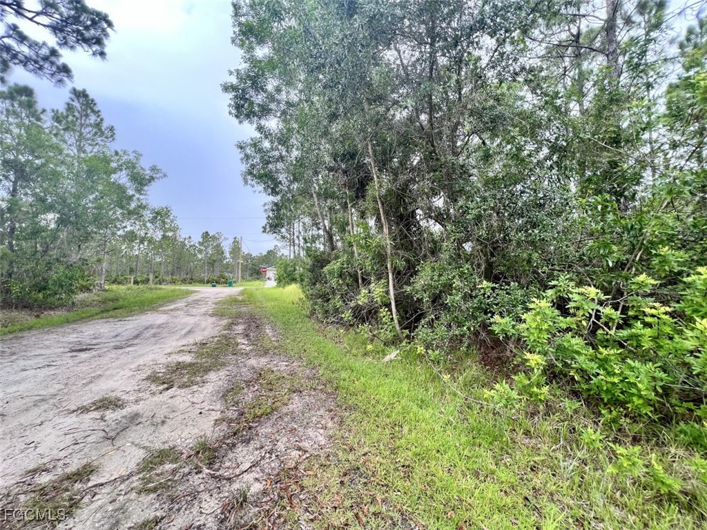 12353  Ripple Drive