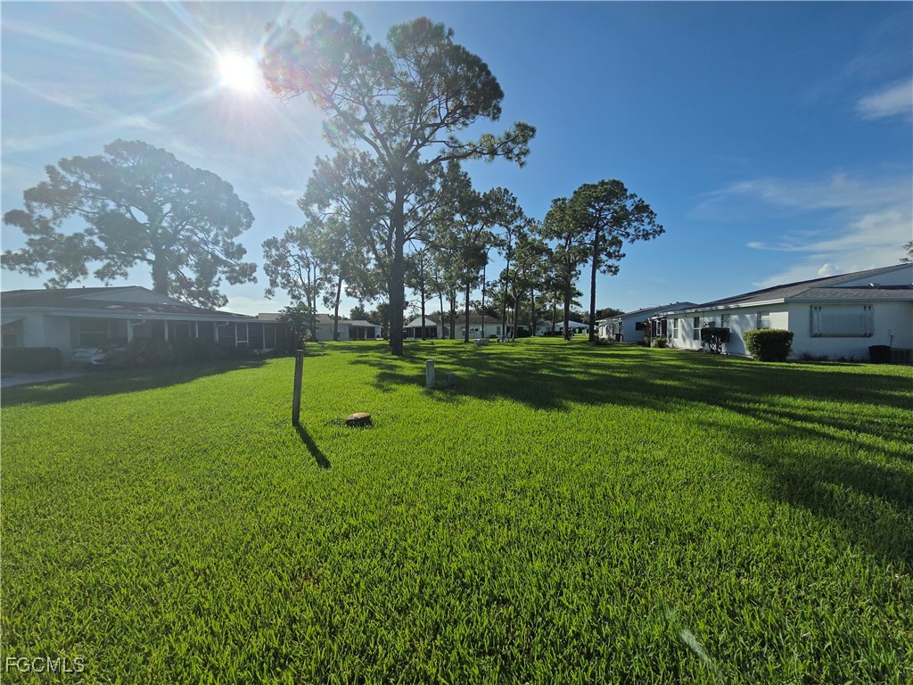 52  Heath Aster Lane
