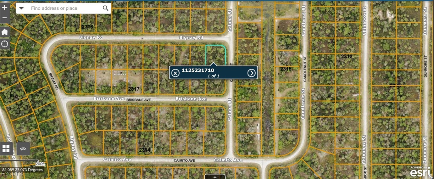 LOT 9  Calaba st