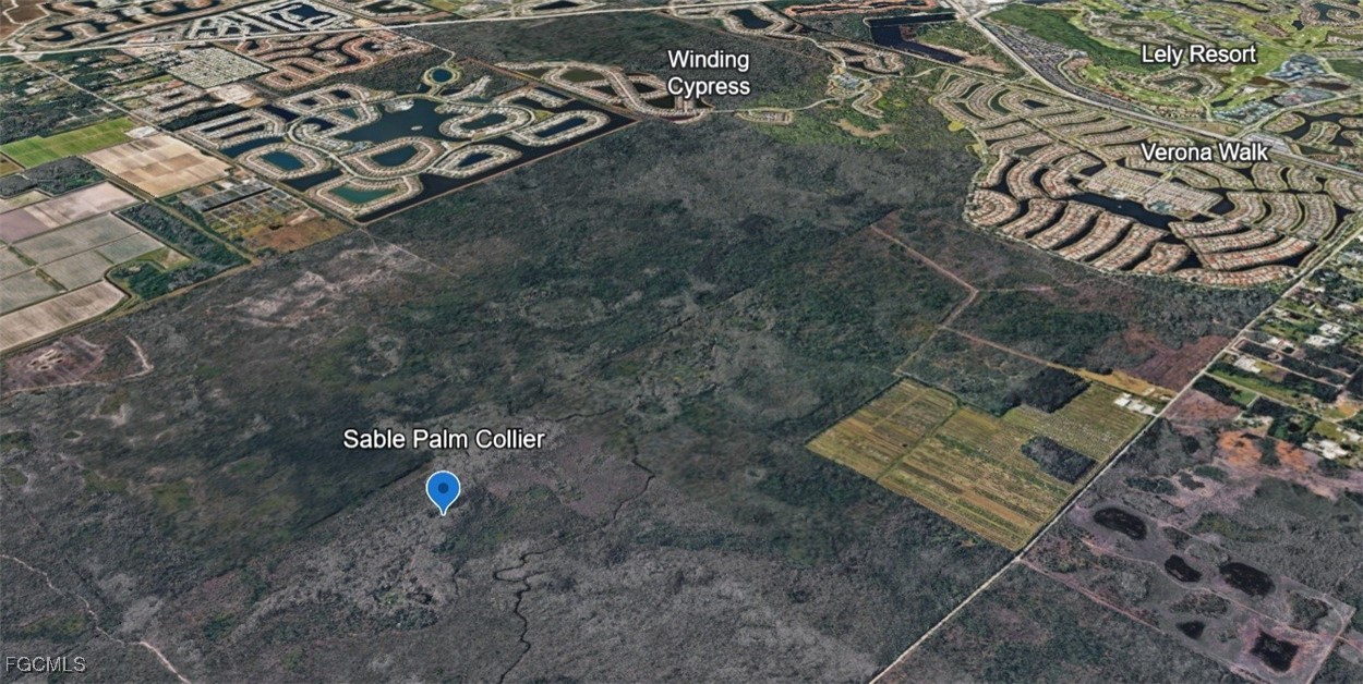   Sabal Palm Road