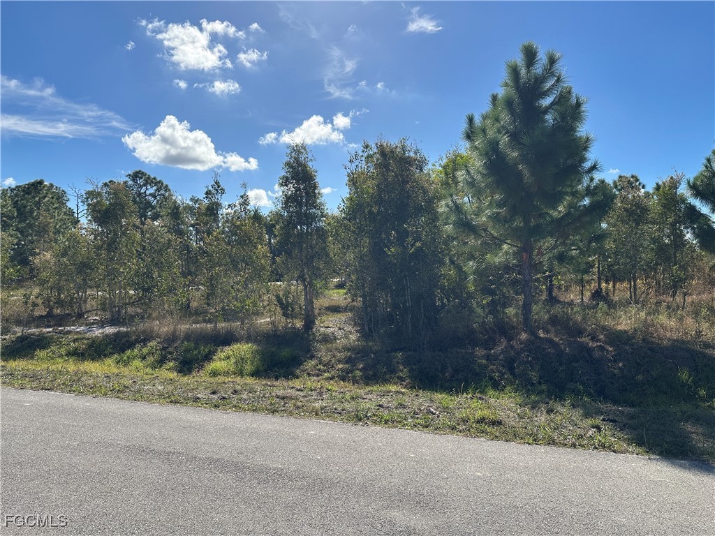 920  Panda Drive