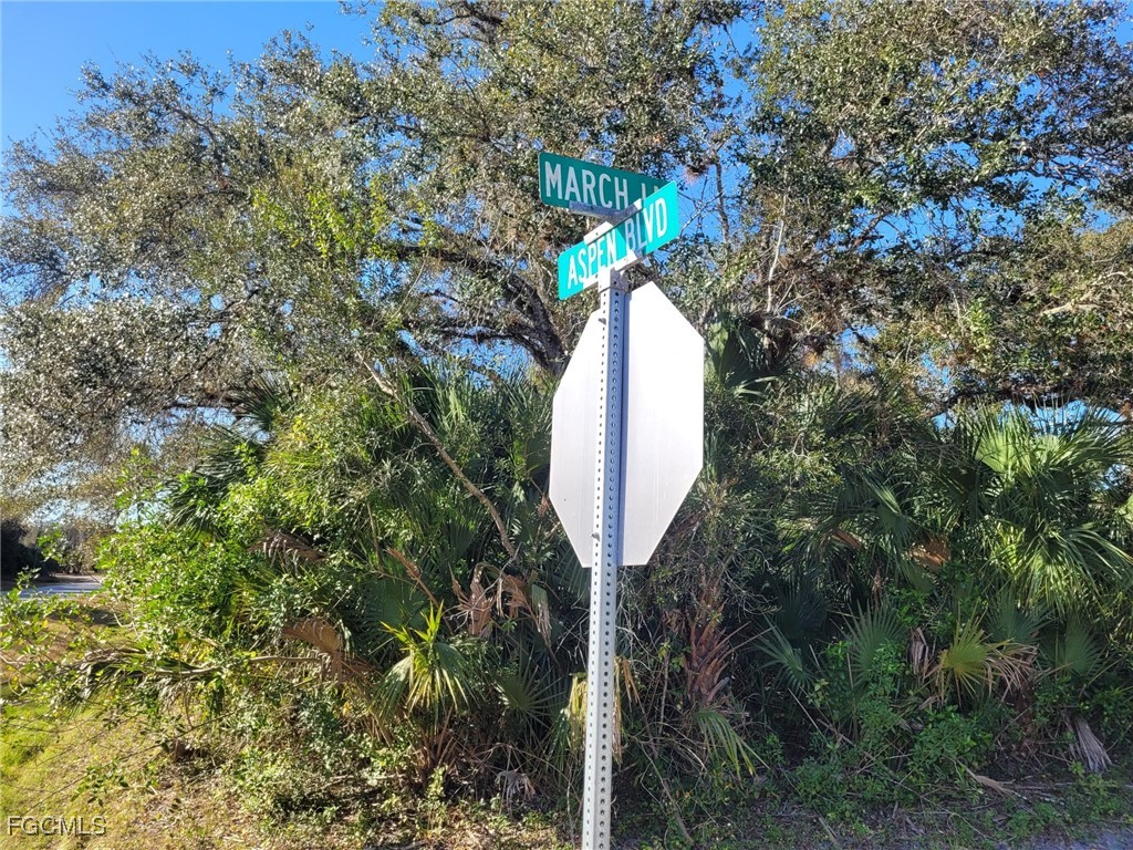   March Lane