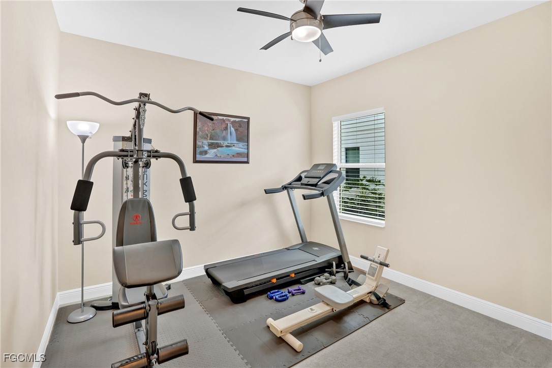 Real Estate in Southwest Florida