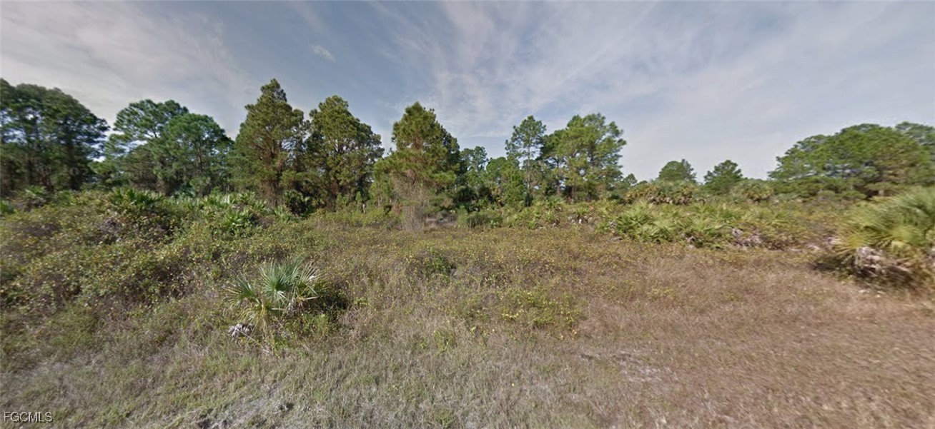 725  Pinecastle Drive