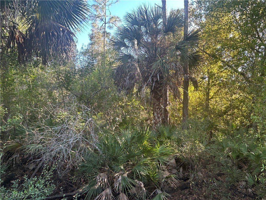 9580  Councilor Lane