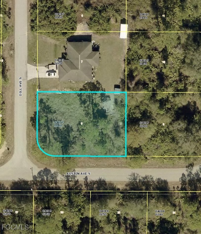 317  Dill Avenue