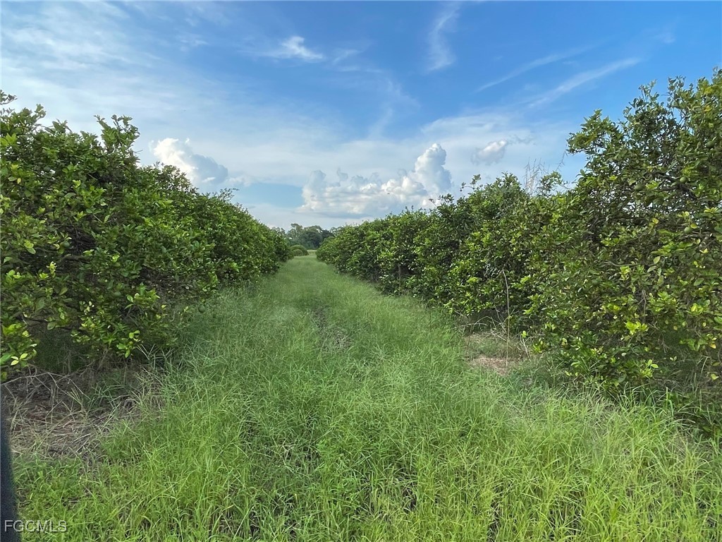   6380 + 6340 6th Road