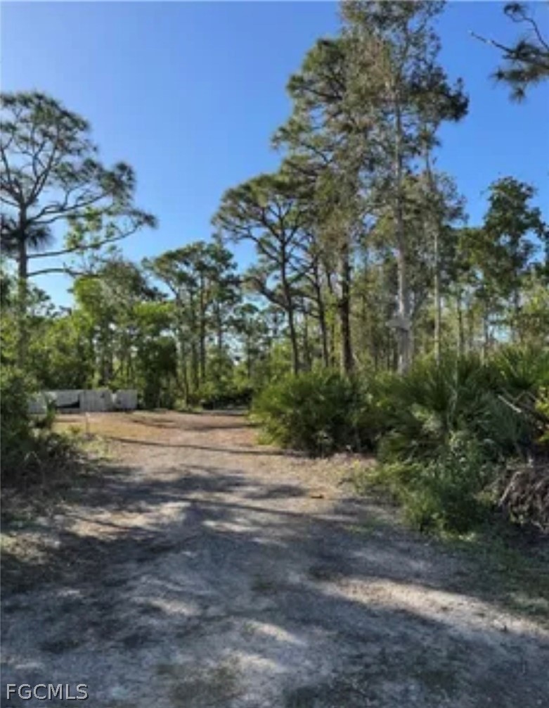 7000  Guava Avenue