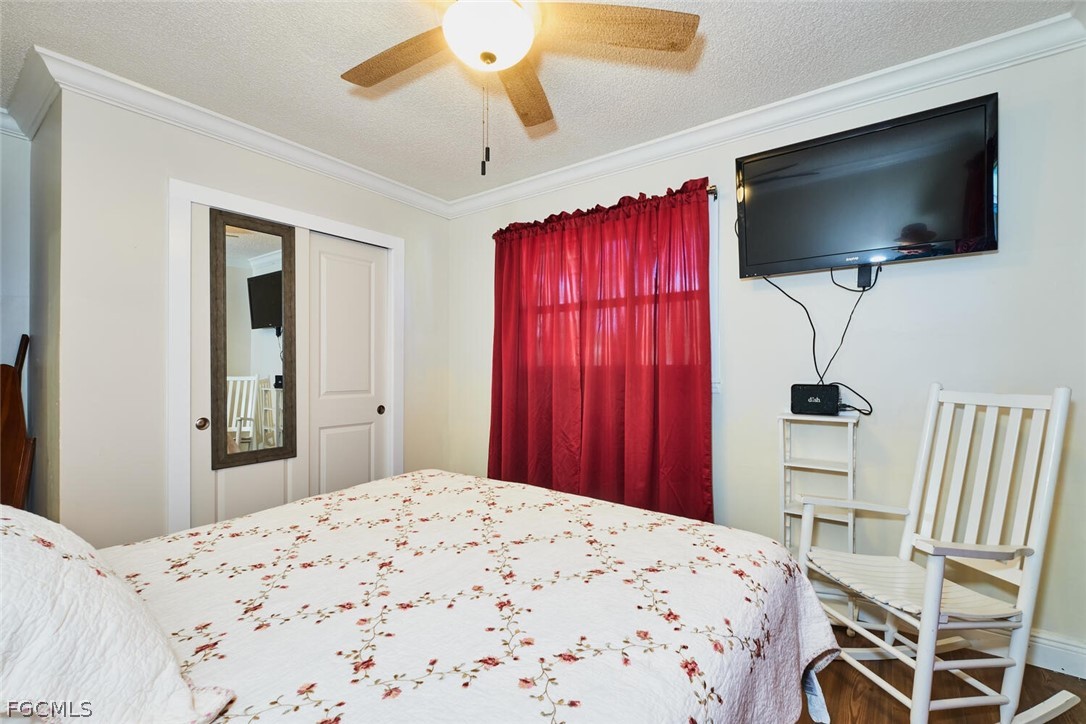 Real Estate in Southwest Florida