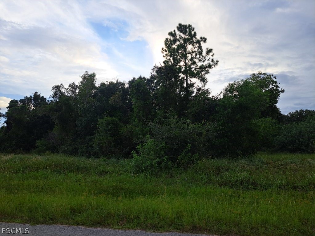 145  Pine Lane