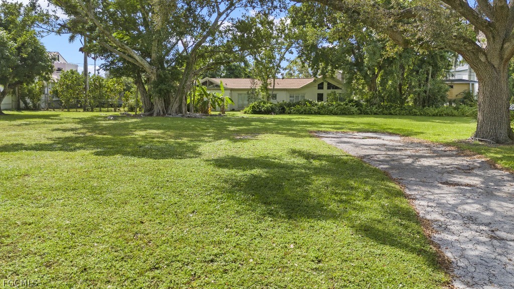 1334  Plumosa Drive