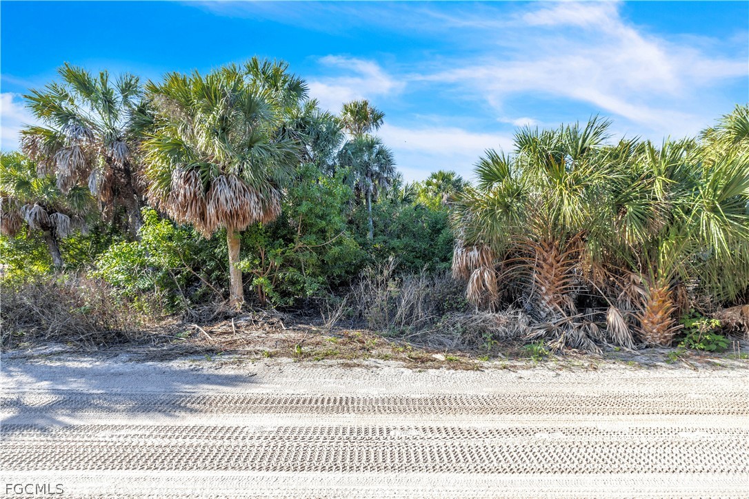 4521  Smugglers Drive