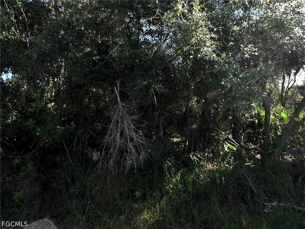   Santa Ana Road