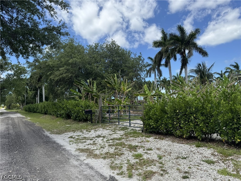 13641  Ficus Tree Lane