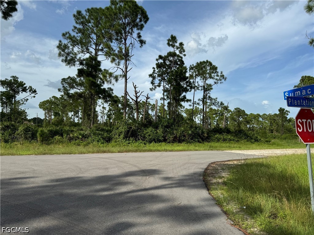 1123  Plantation Road