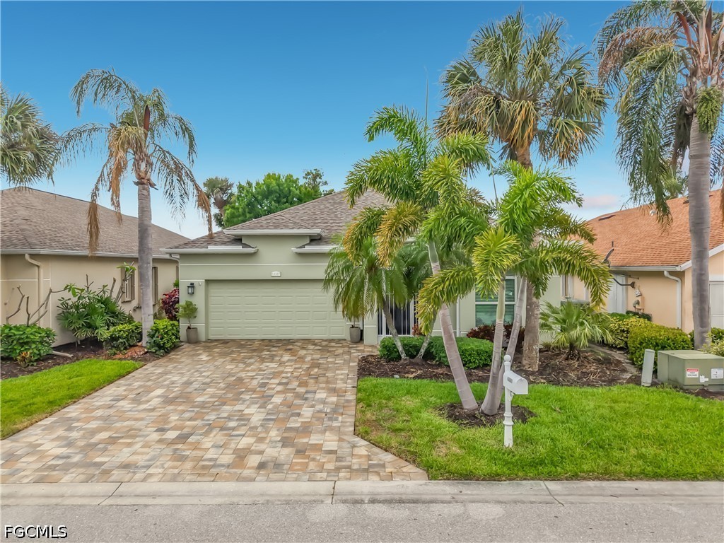 13337  QUEEN PALM Run