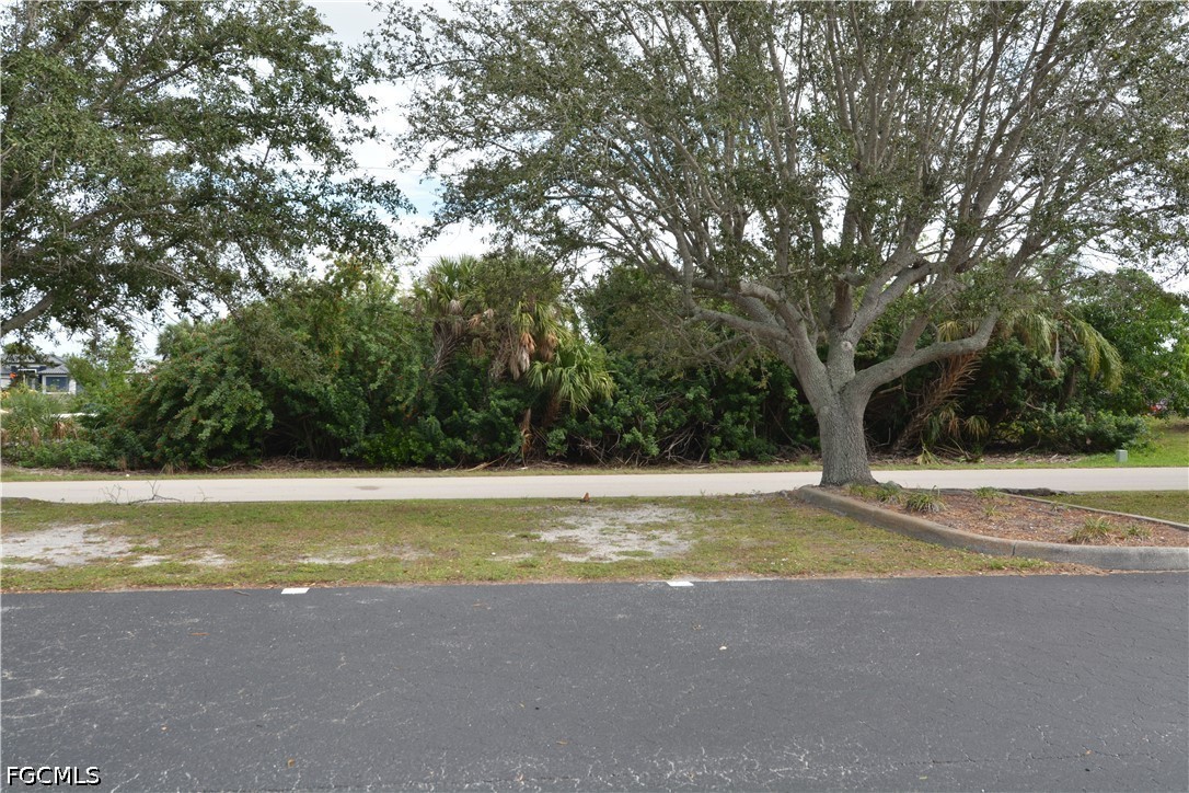 4114  PALM Drive