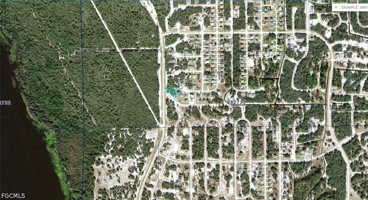 1257  Amazon Lane