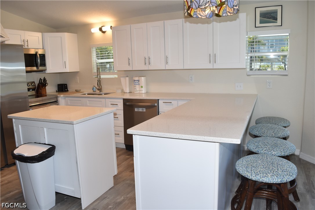 19681  Summerlin Road, Apt 253