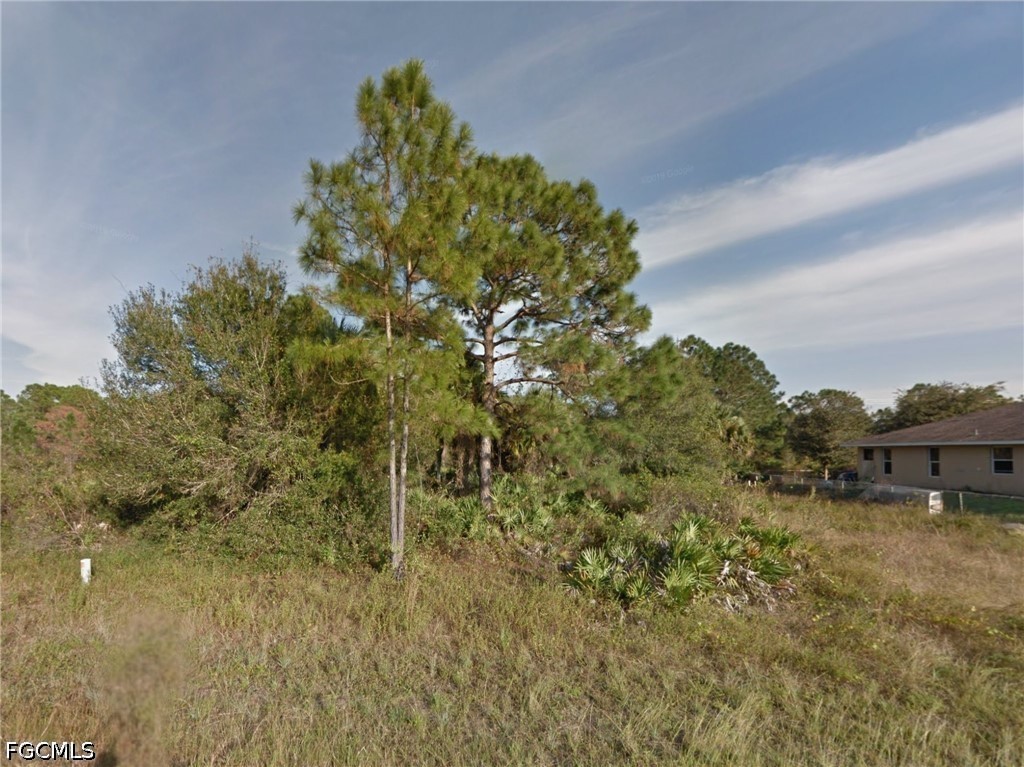 217  Narcissus Avenue