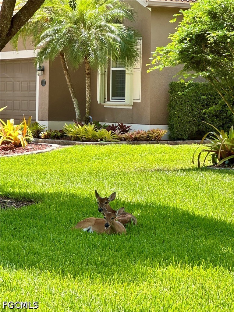 20561 Larino Loop