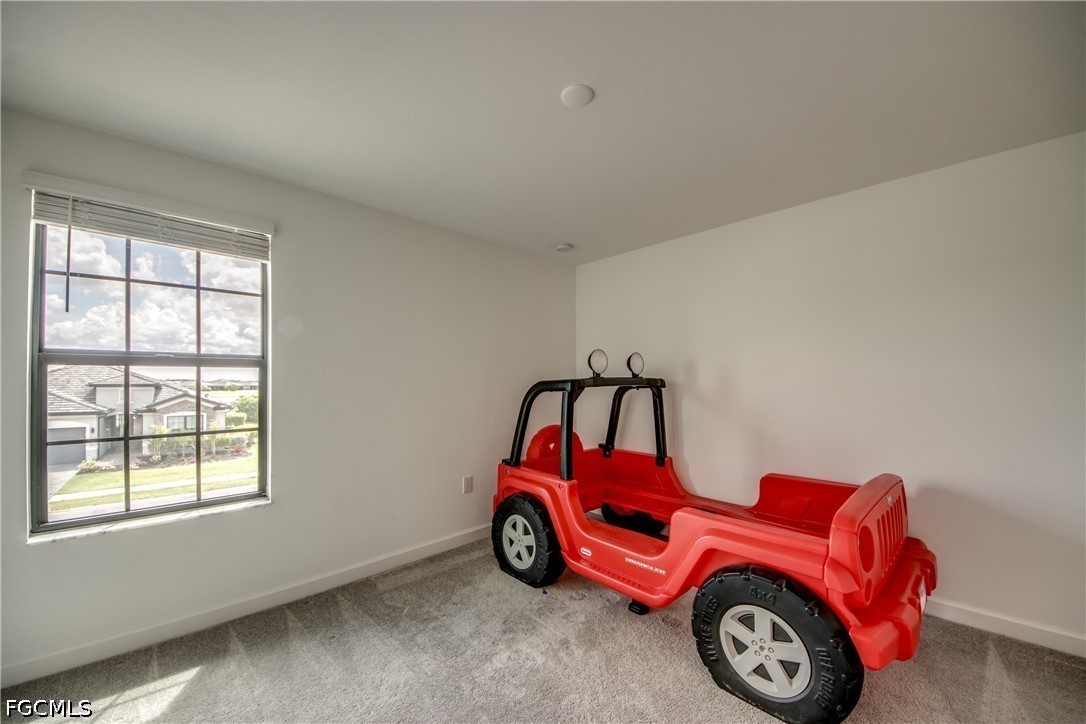 11436 Canopy Loop