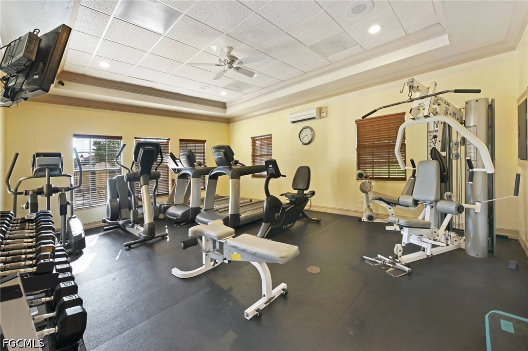 Real Estate in Southwest Florida