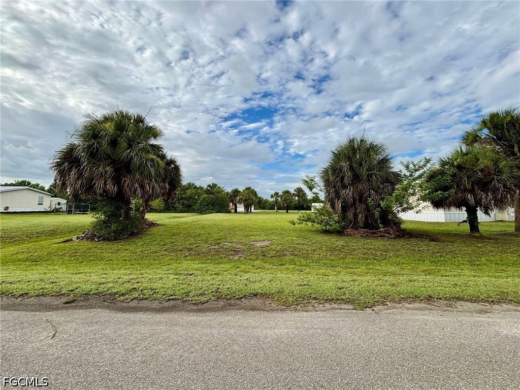 1125 W Miller Drive