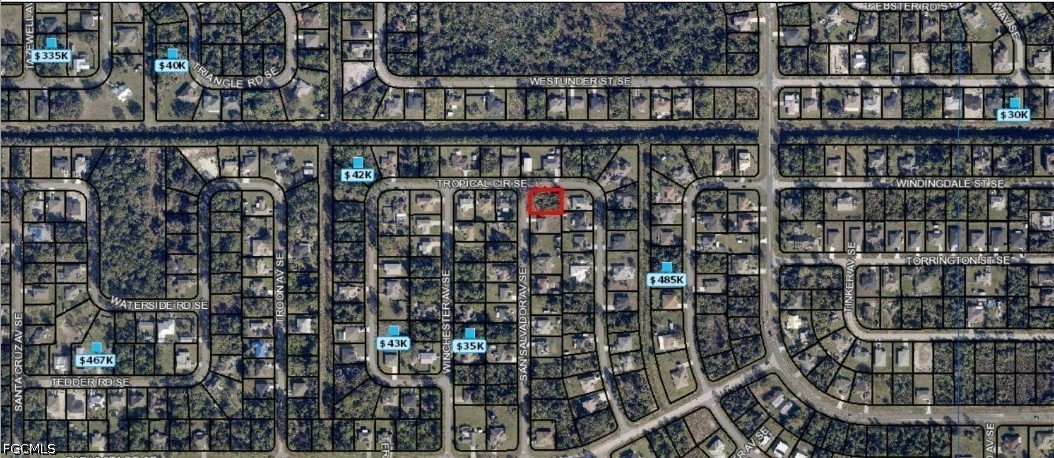 29-37-32-GU-1207-12 Tropical Circle