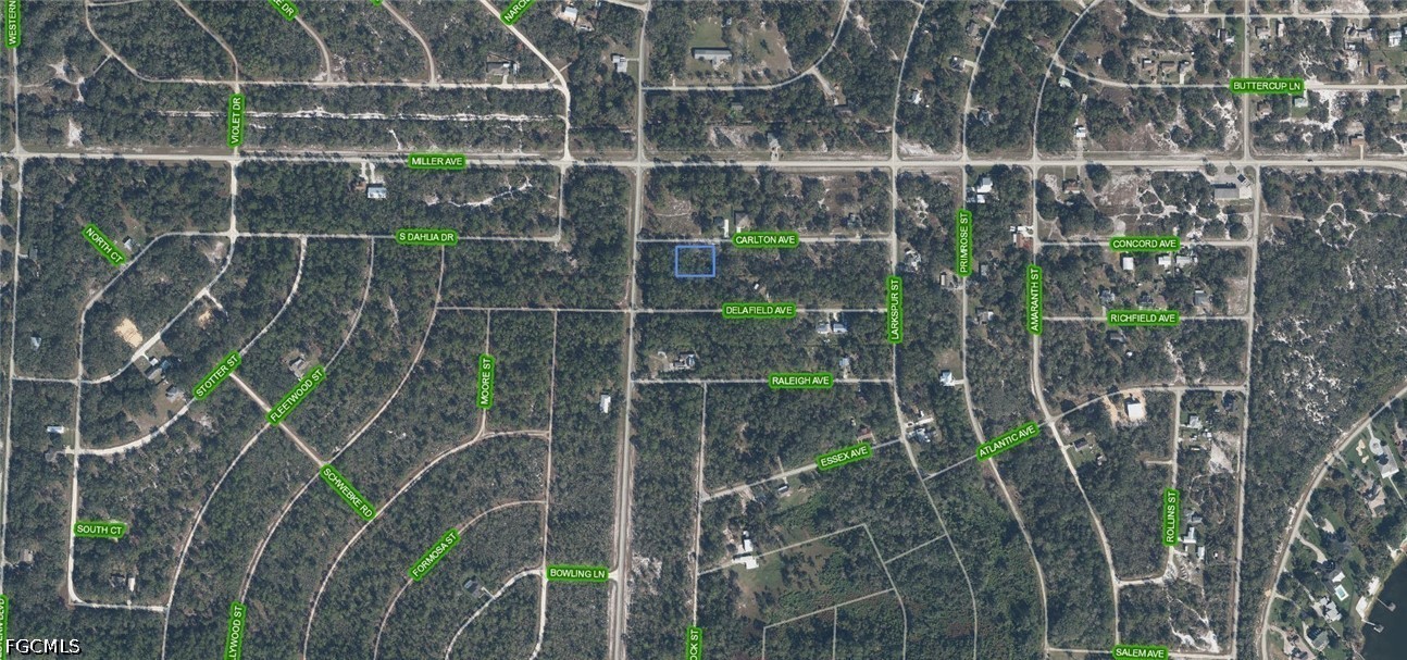 3154  Carlton Avenue