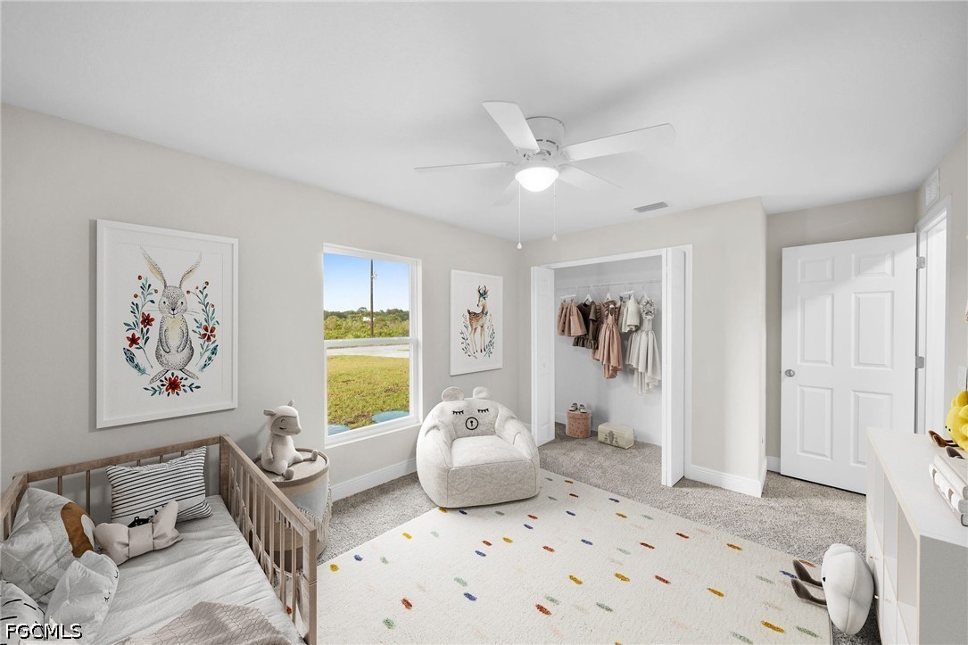 Real Estate in Southwest Florida