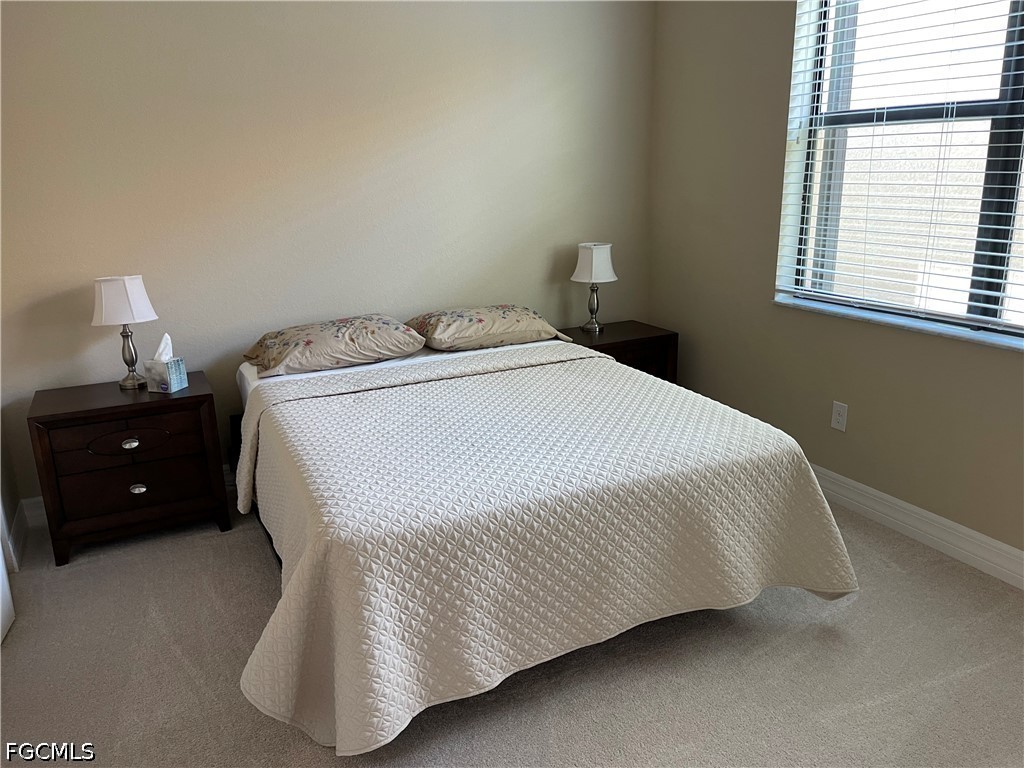 11617 Lakewood Preserve Place