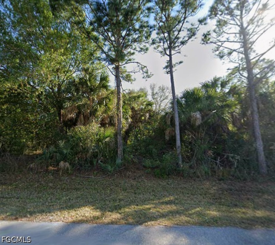26215  Deer Road