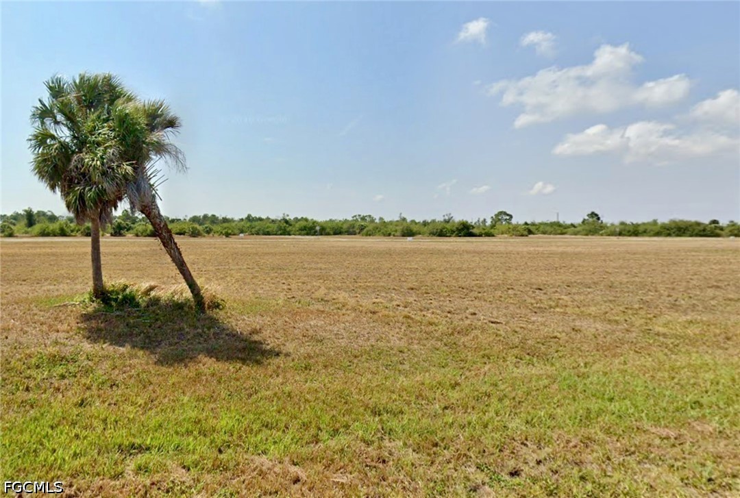 12507 Filefish Court
