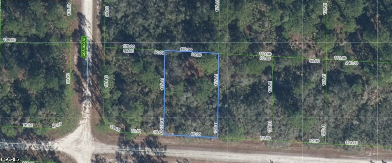 3435 Ostrich Street