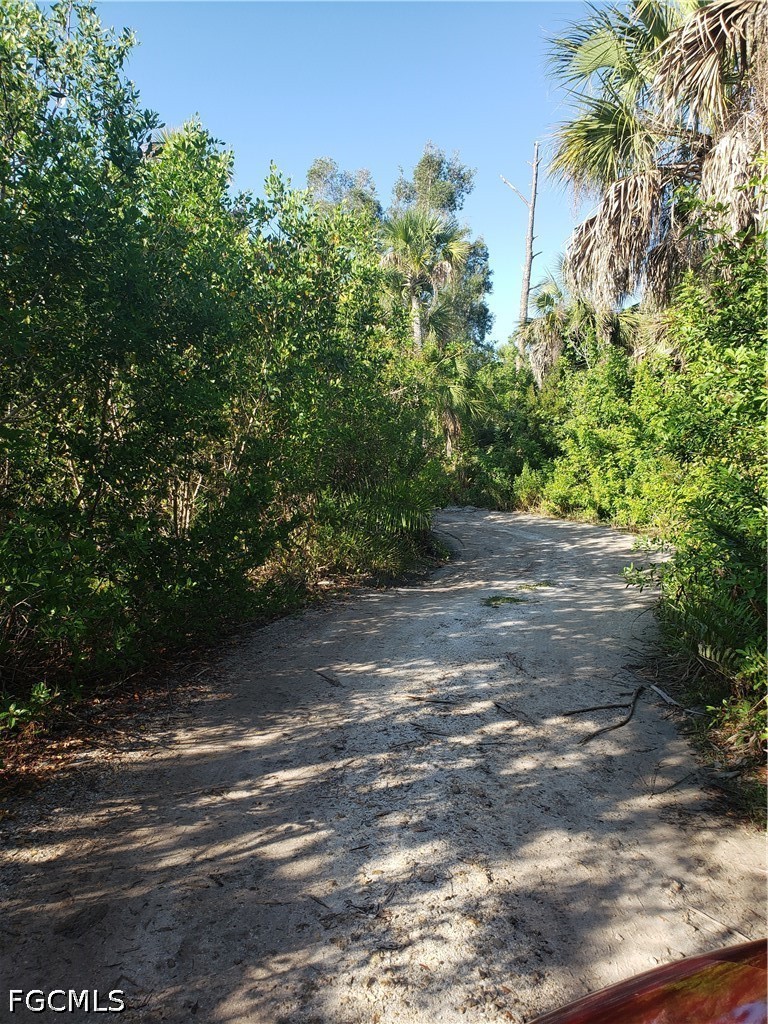 Pirate Landing Lane