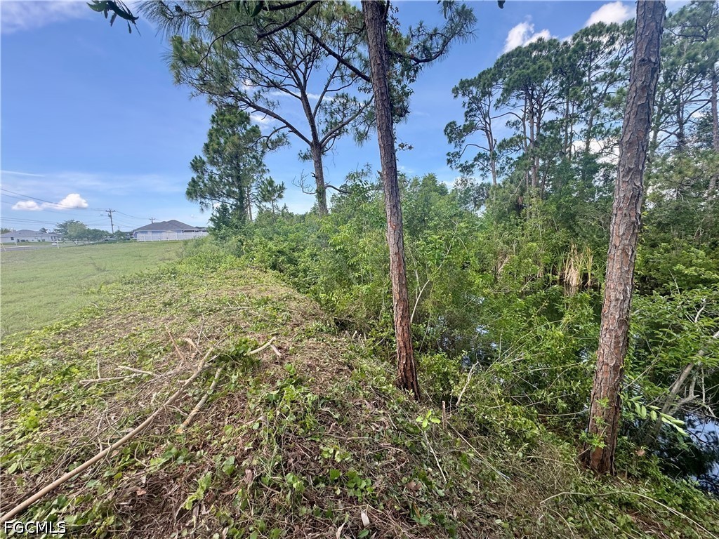 207 Wilmington Parkway