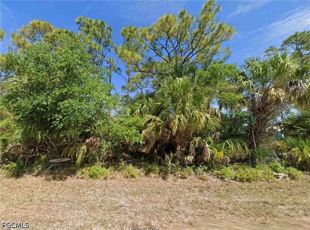 1272  Lace Terrace