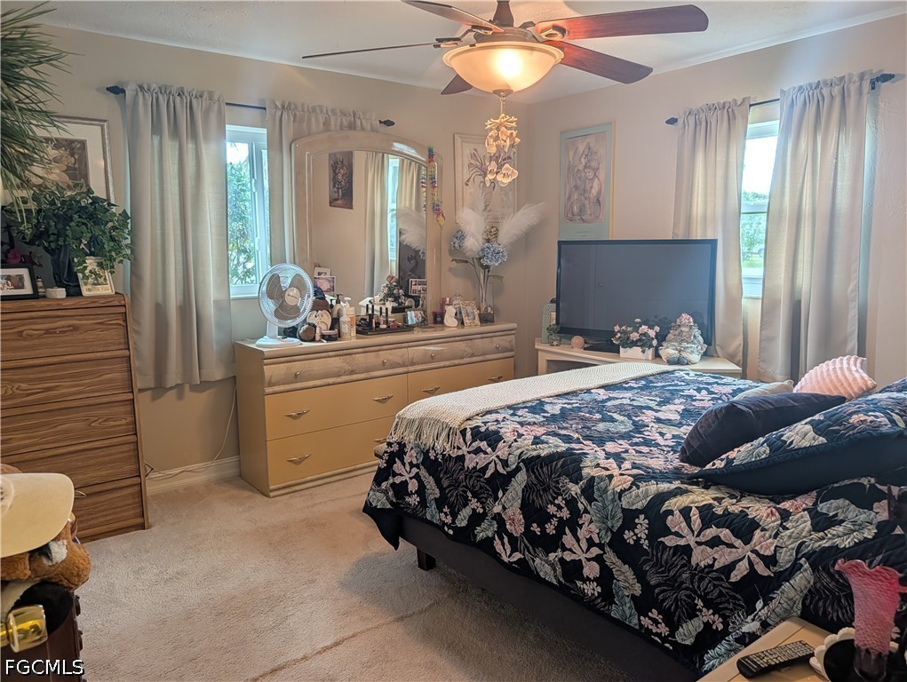 2324 Caladium Road