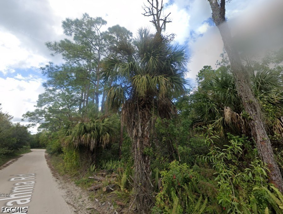 6451 Longhorn Trail