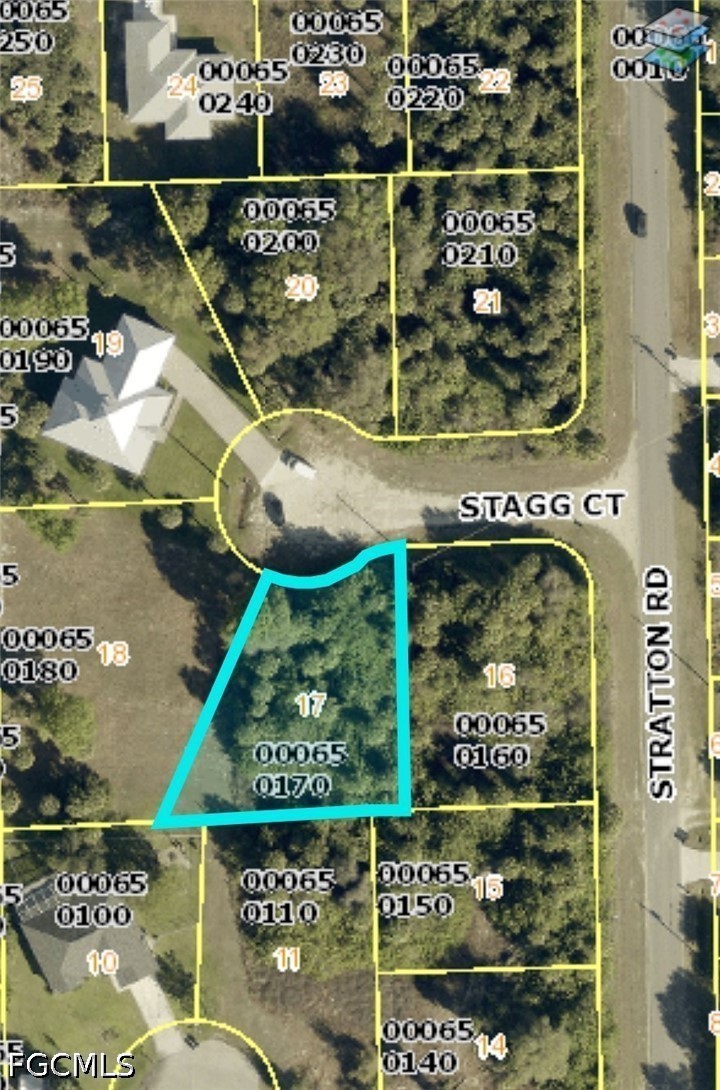 3707 Stagg Court