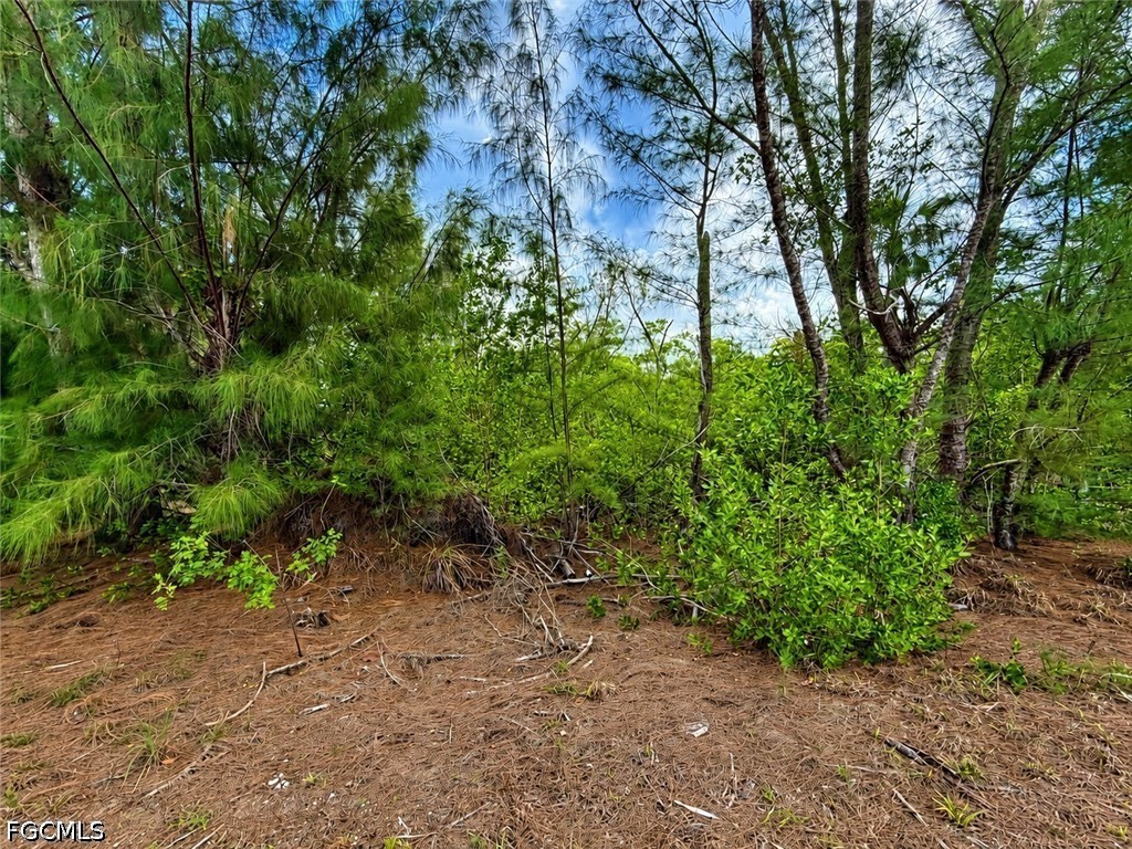 12370 Sherwood Road