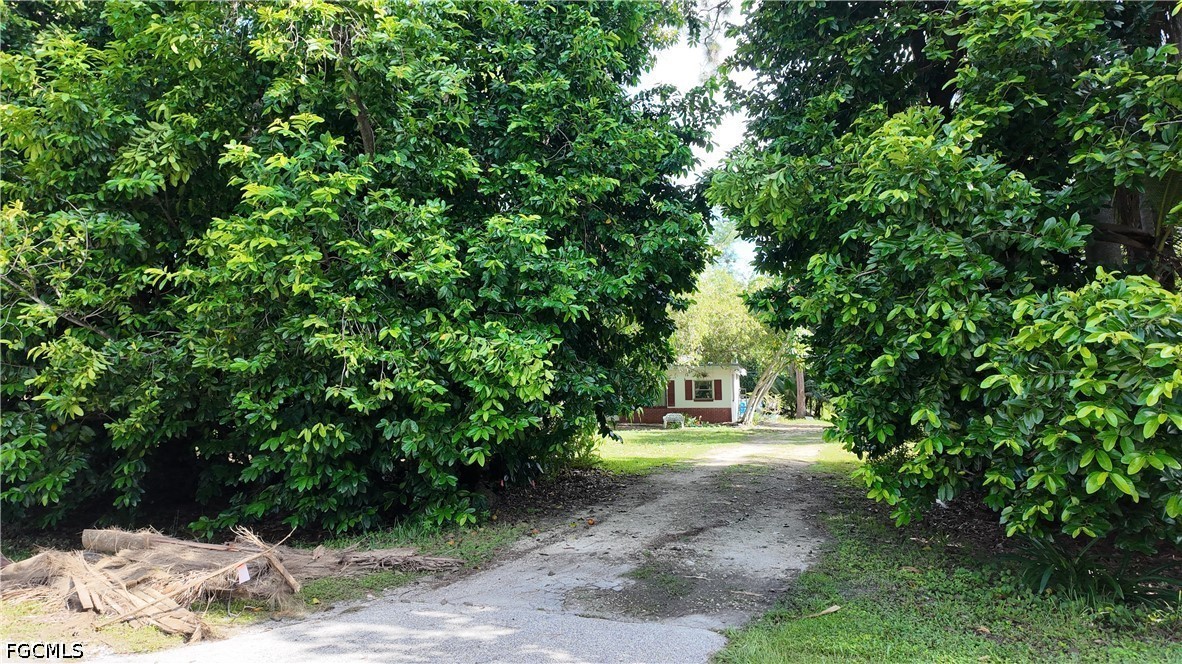 Real Estate in Southwest Florida
