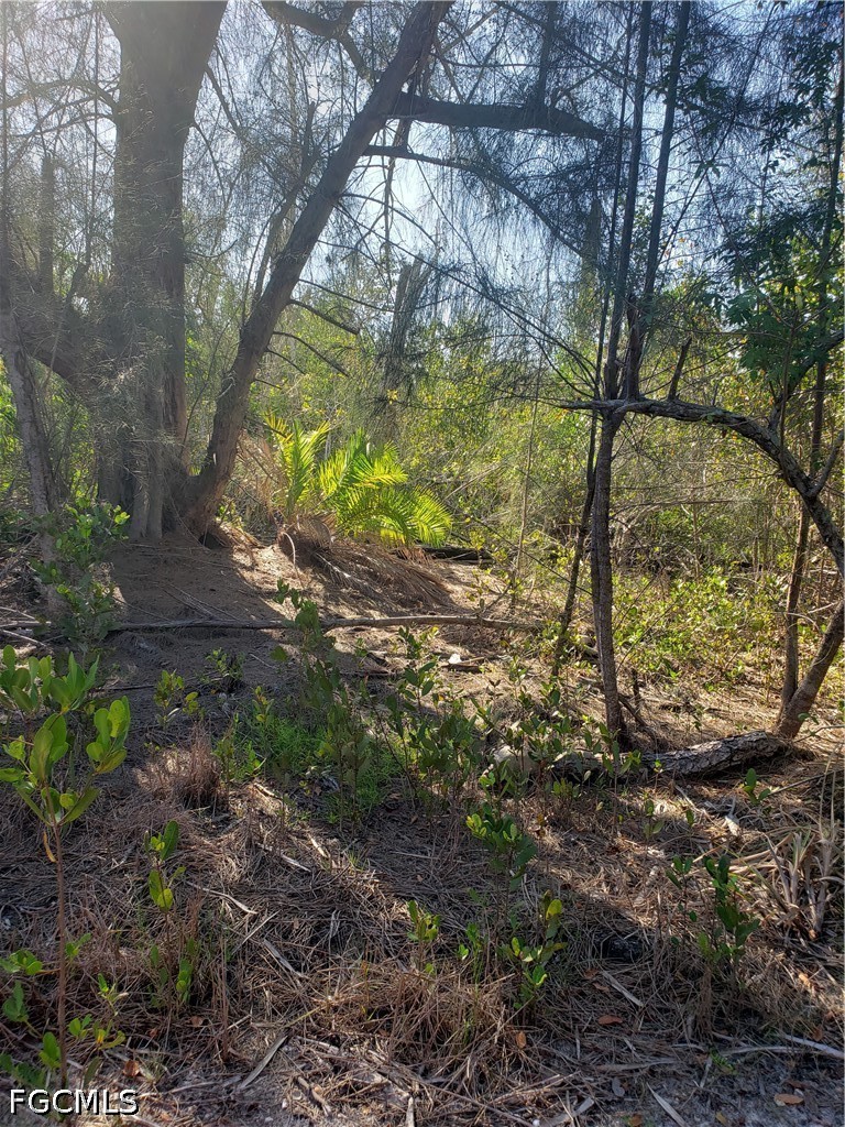 TBD  Masters Landing Drive