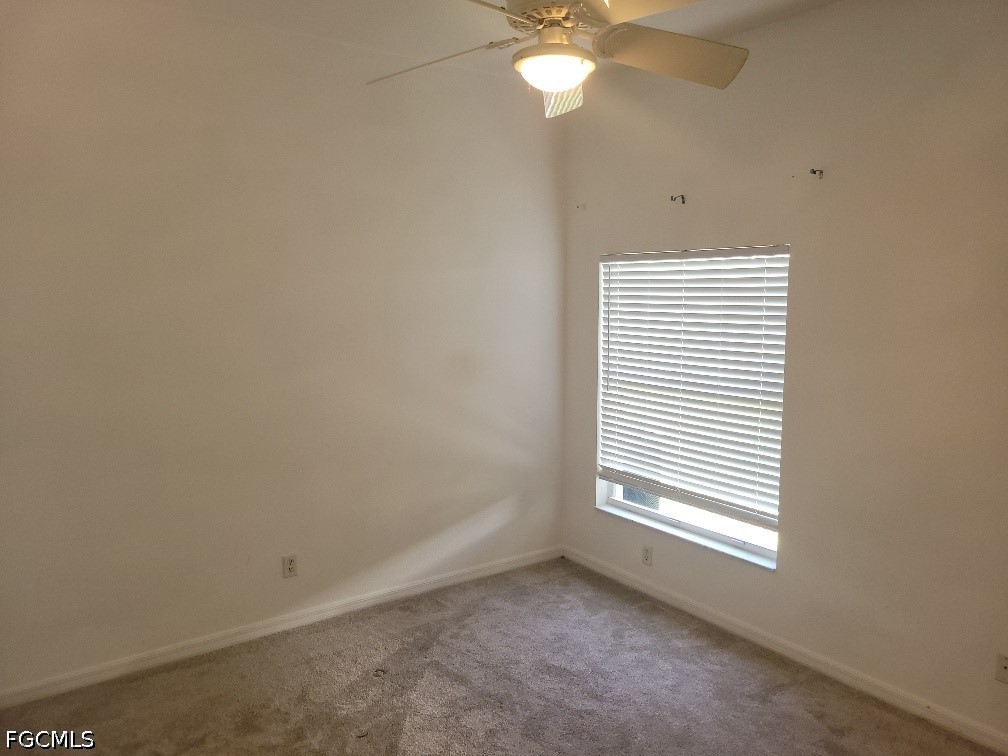Real Estate in Southwest Florida