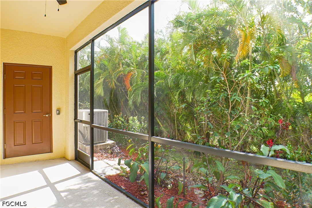 14688  summer rose Way