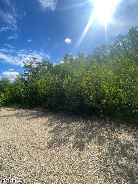 78  Otter Avenue