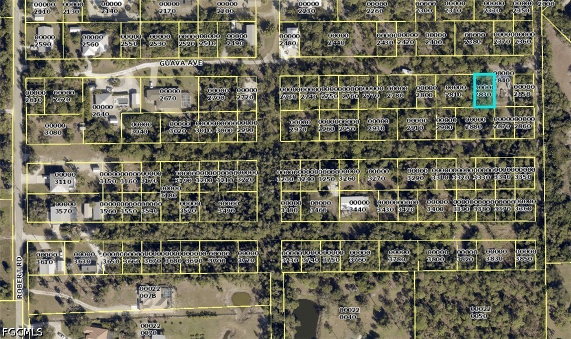 Guava Avenue