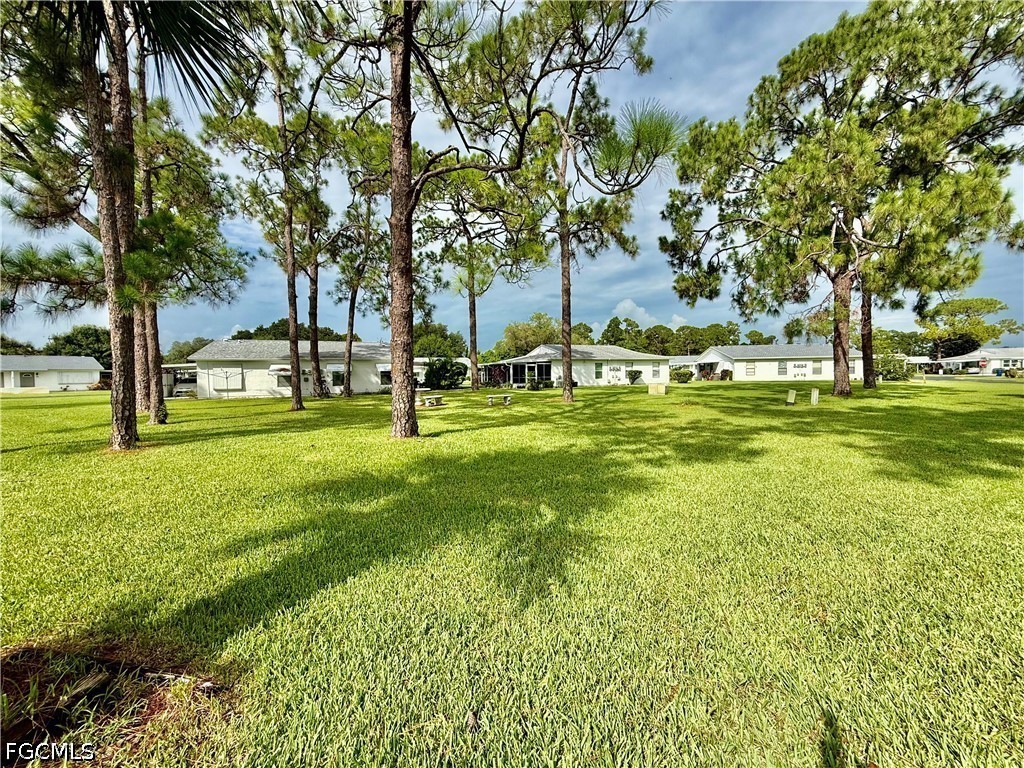 36  Heath Aster Lane