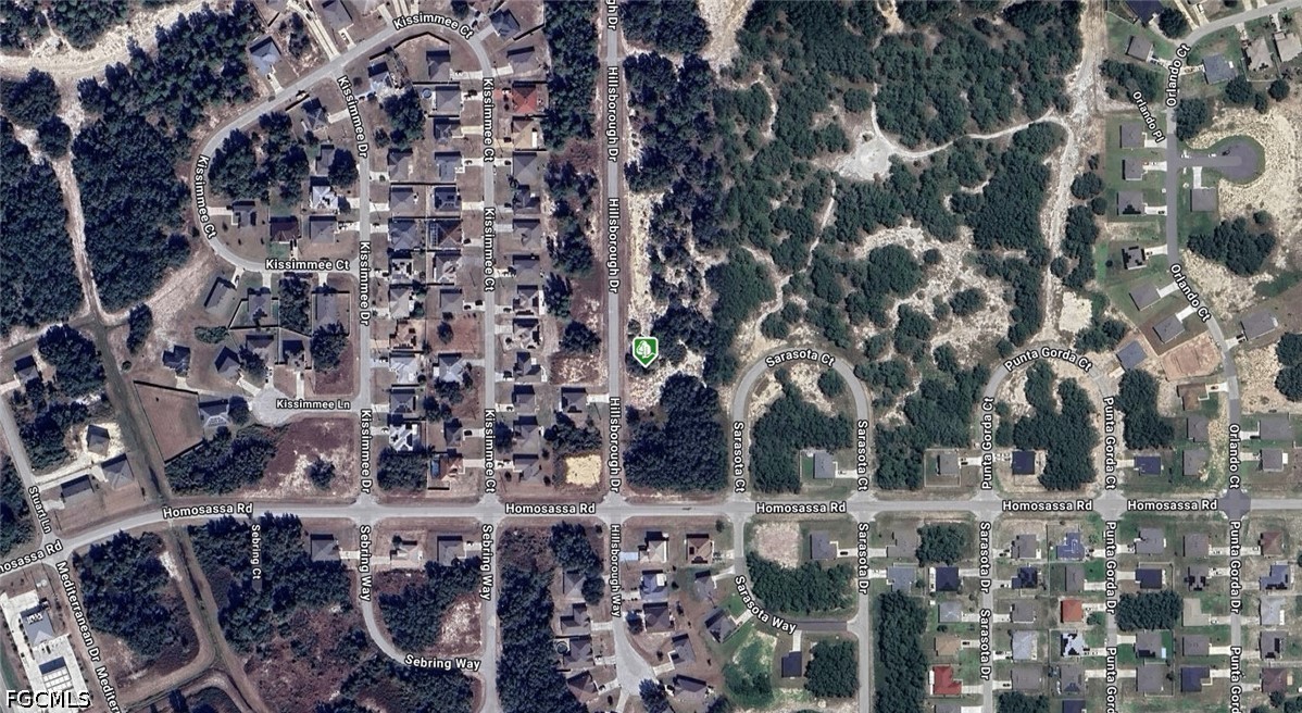 1407  Hillsborough Drive